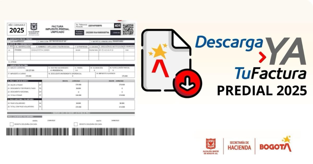 Imagen del artículo