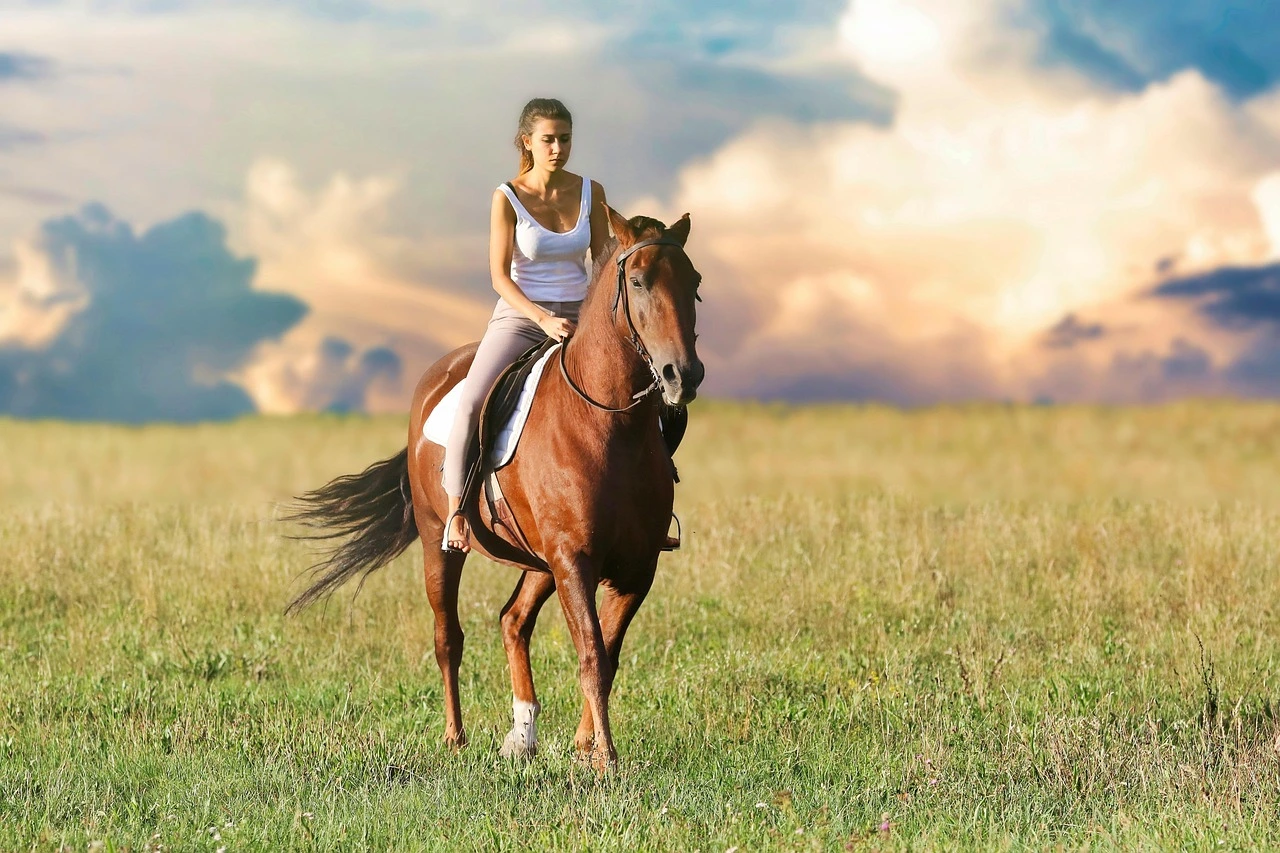 Portada: El Pueblo de Colombia con Más Caballos que Personas: Finca Raíz Barata 2026