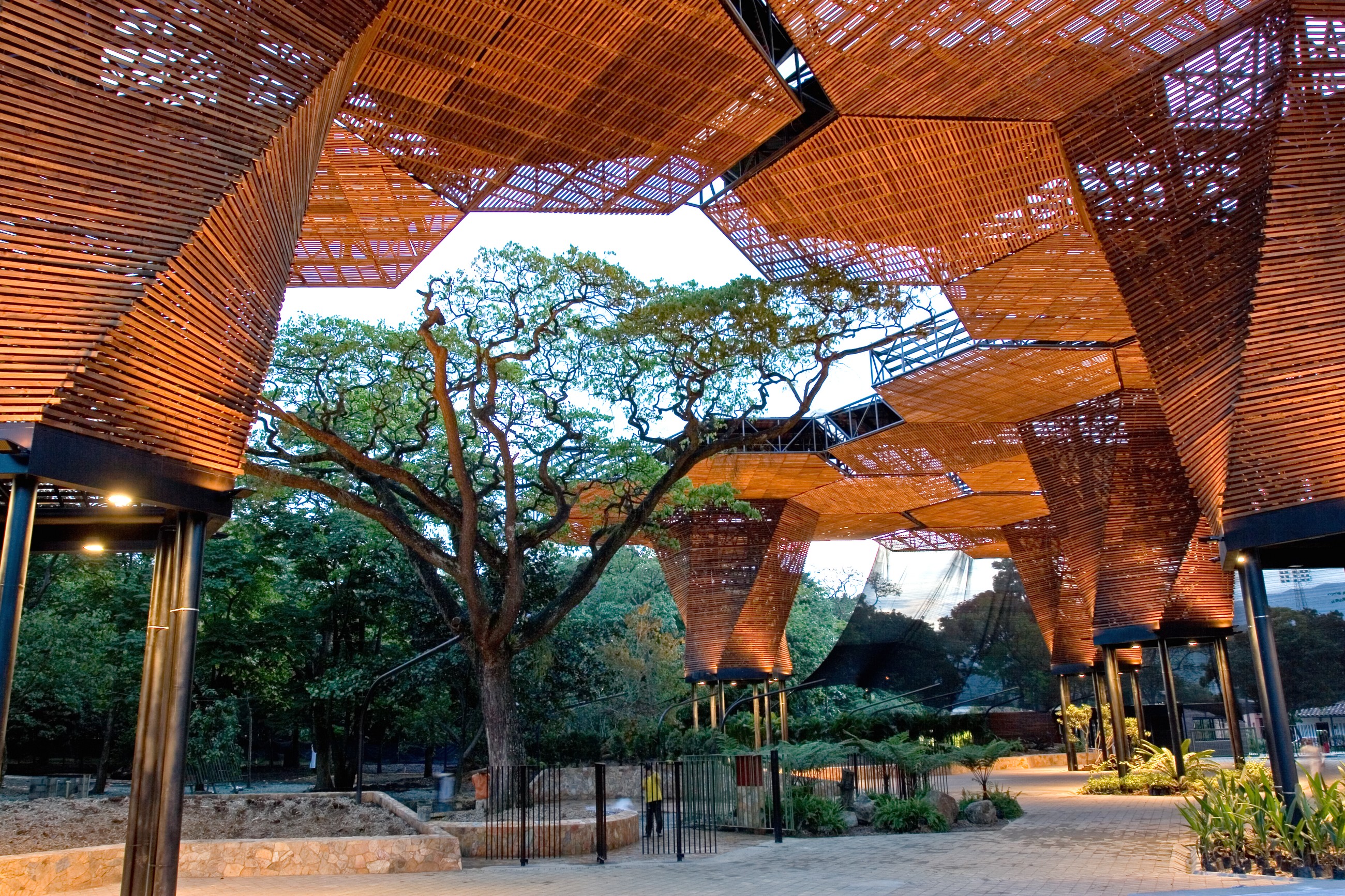 Imagen del artículo