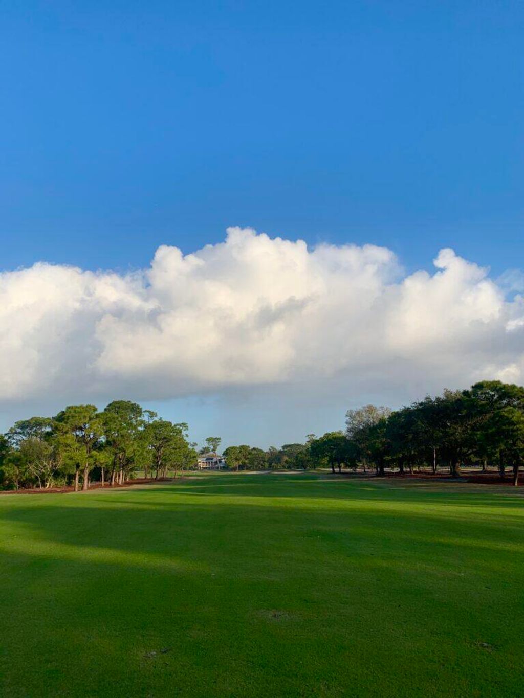 International property img-4