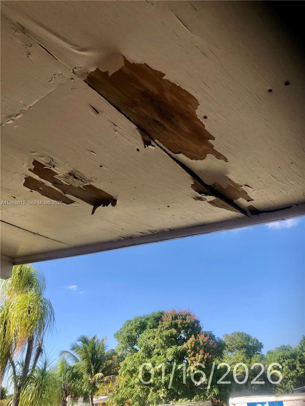 International property img-3