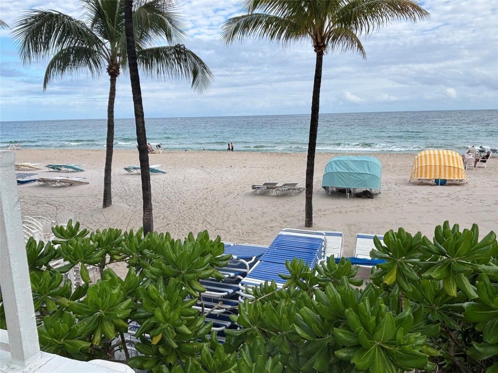 International property img-1