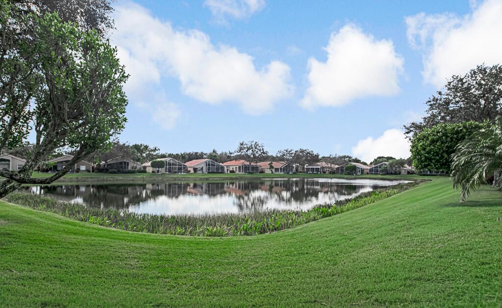 International property img-4