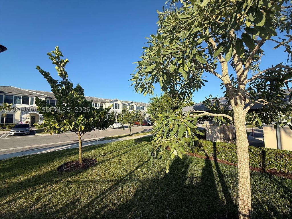 International property - main
