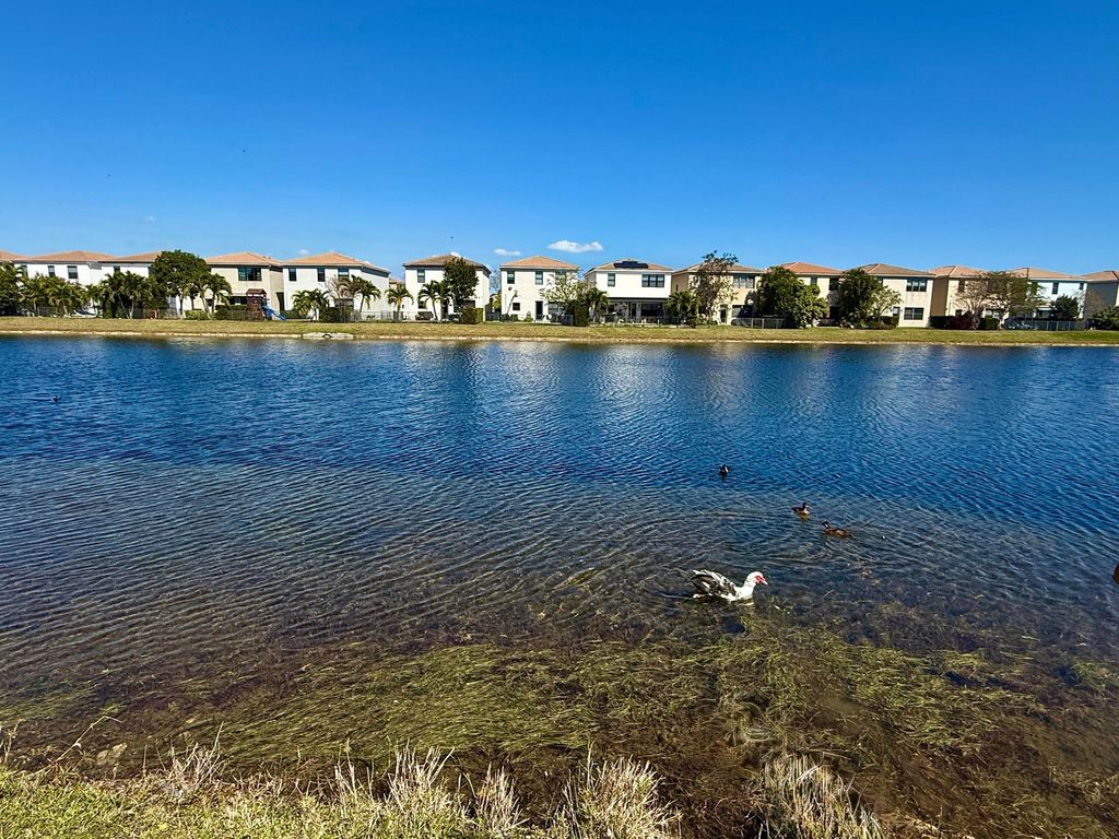 International property img-3