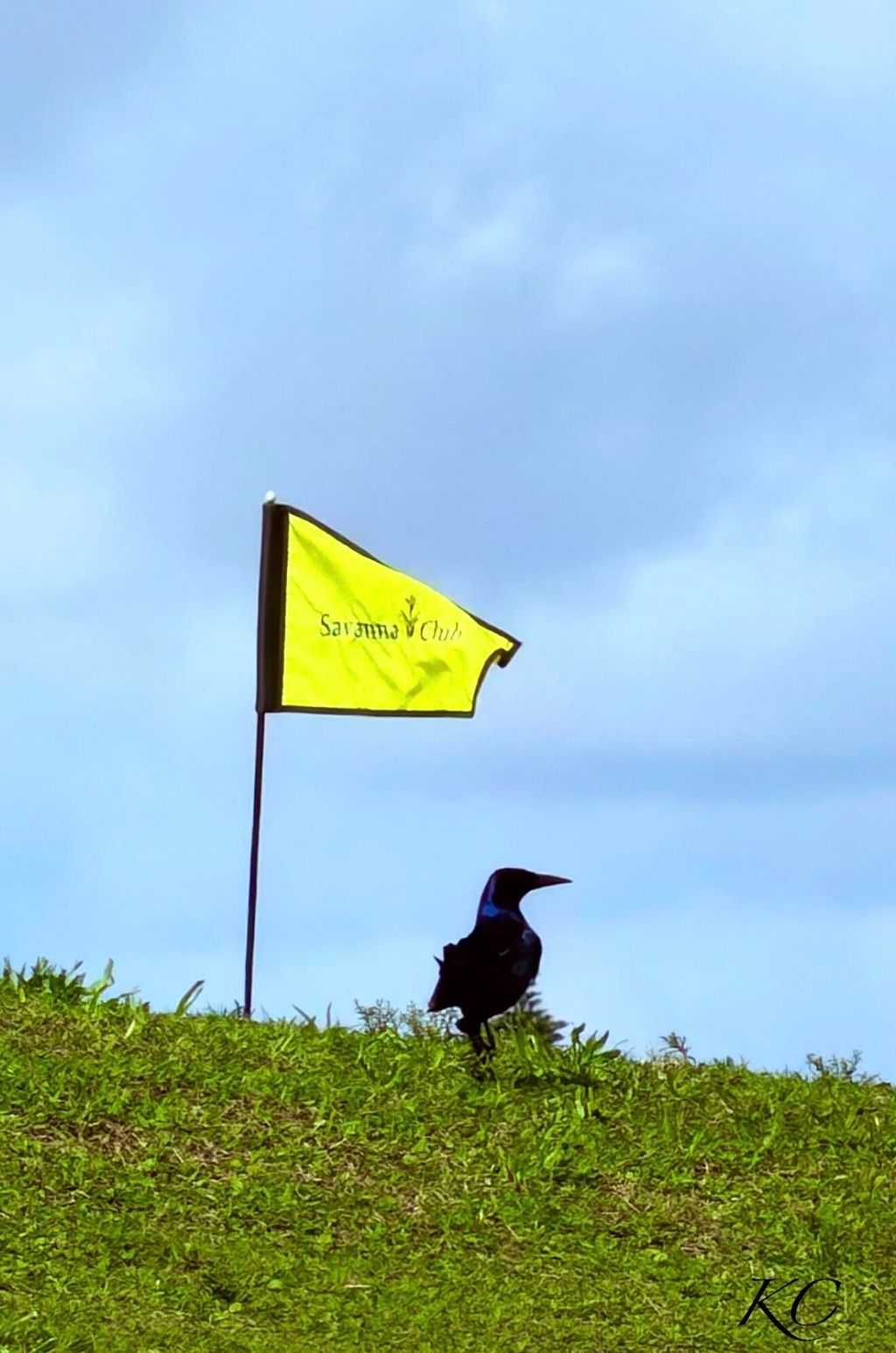 International property img-3