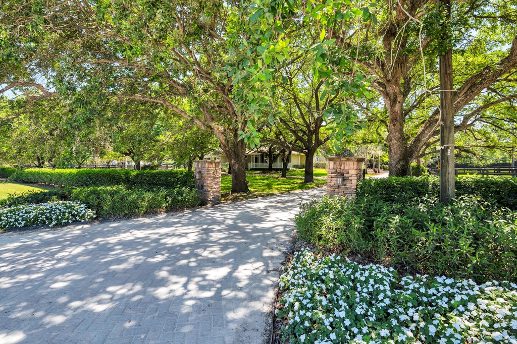 International property img-2