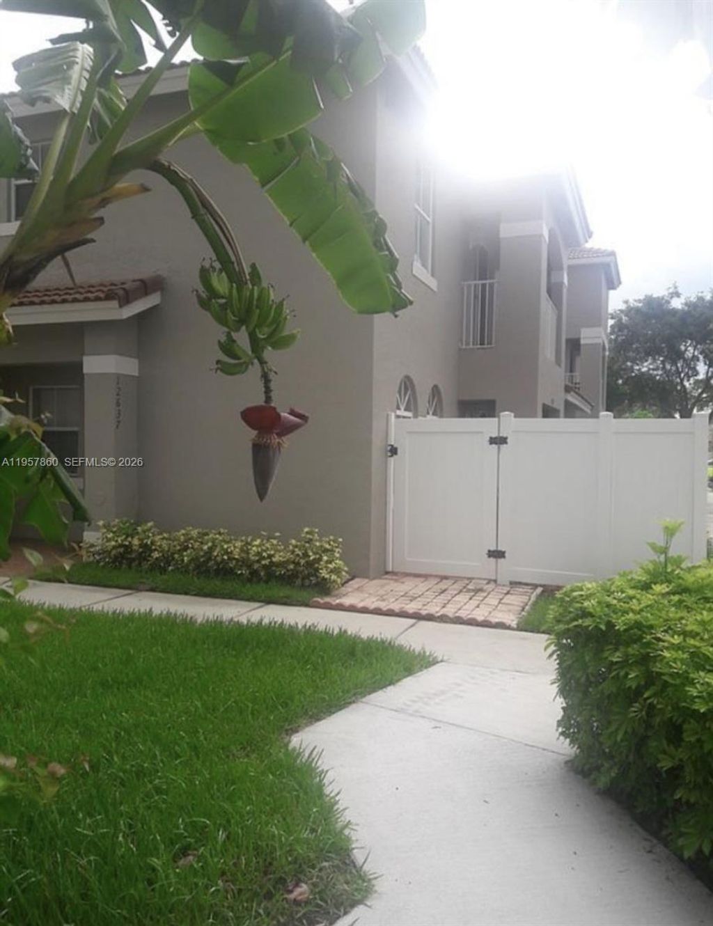 International property img-3