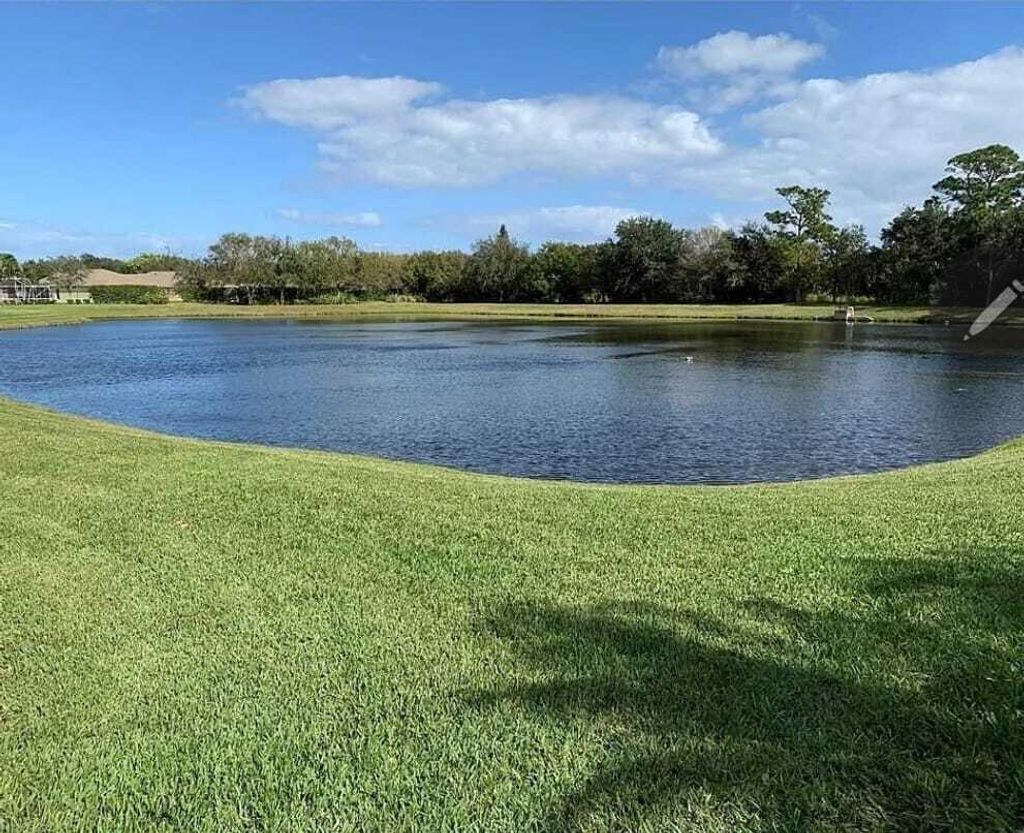 International property img-1