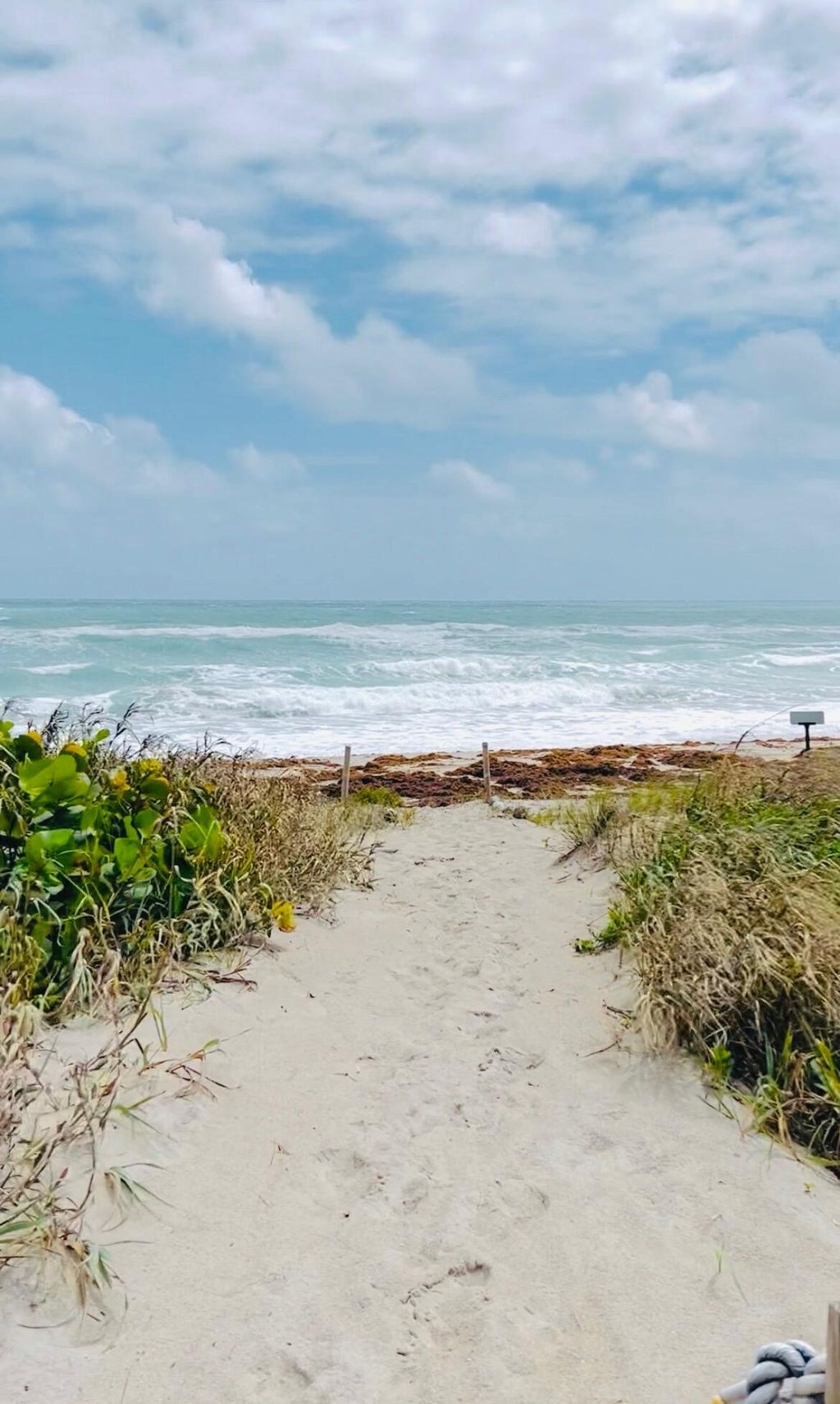 International property img-1