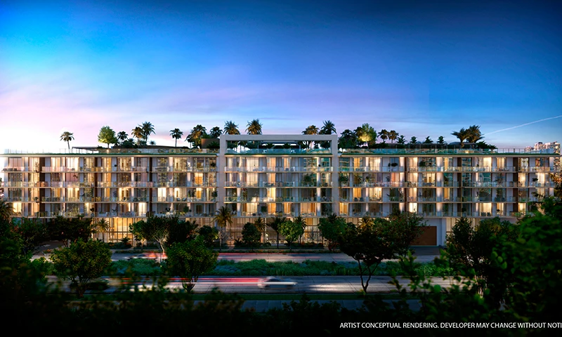 Proyecto Florida img-2