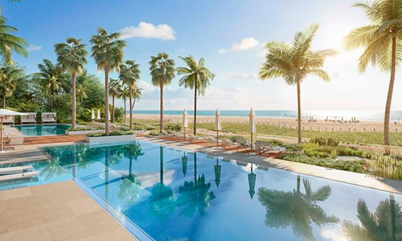 Proyecto Florida img-2