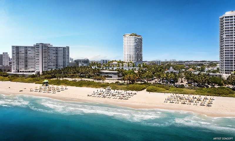 Proyecto Florida img-4