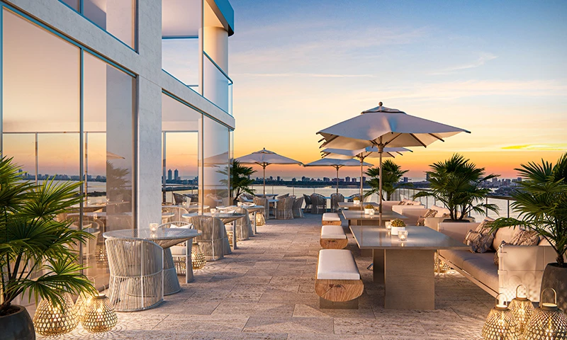 Proyecto Florida img-2