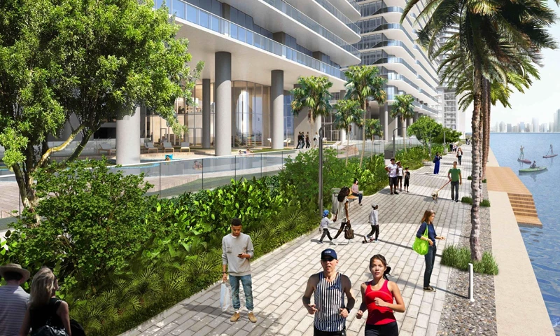 Proyecto Florida img-3