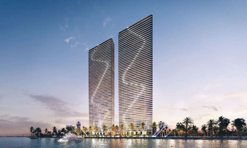 Proyecto Florida img-4