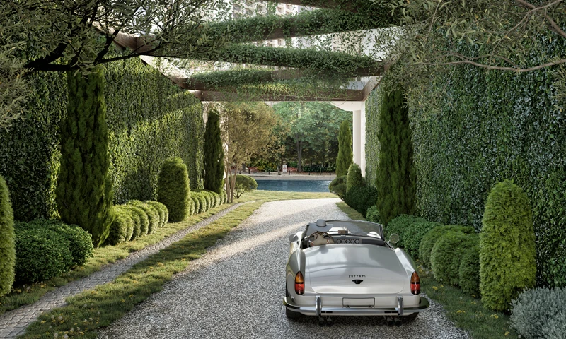 Proyecto Florida img-4