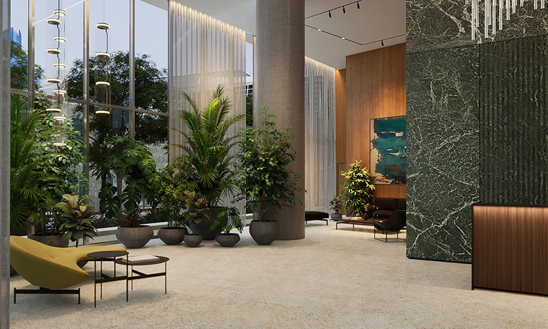 Proyecto Florida img-4