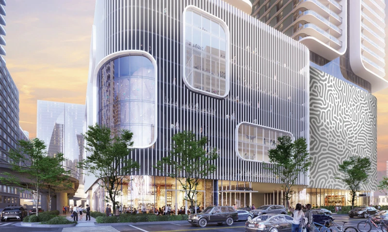 Proyecto Florida img-1