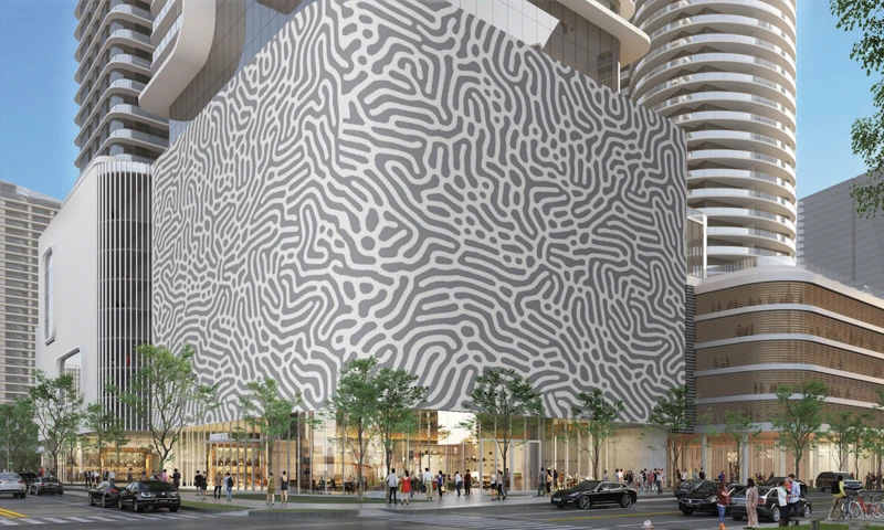 Proyecto Florida img-2