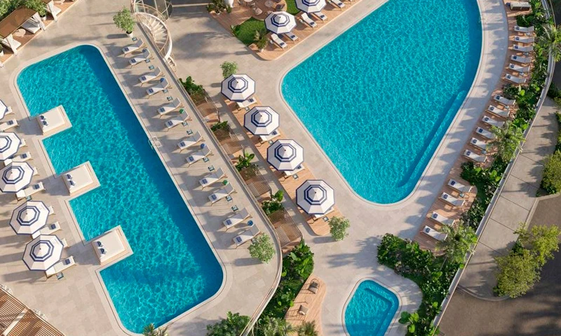 Proyecto Florida img-3