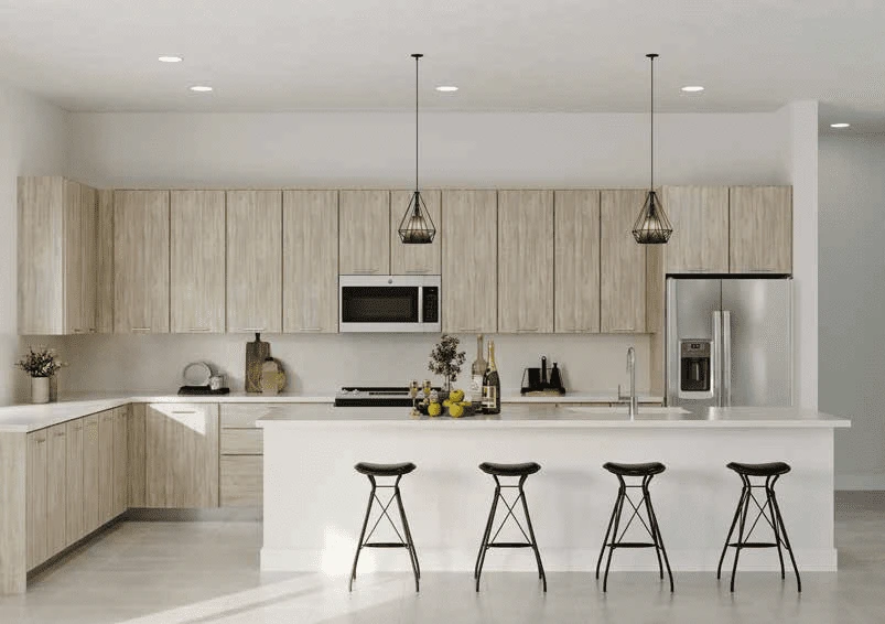 Proyecto Florida img-3