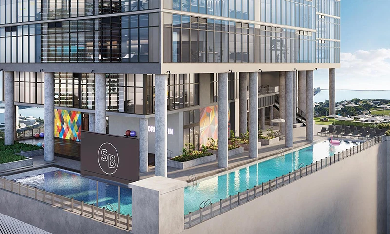 Proyecto Florida img-4