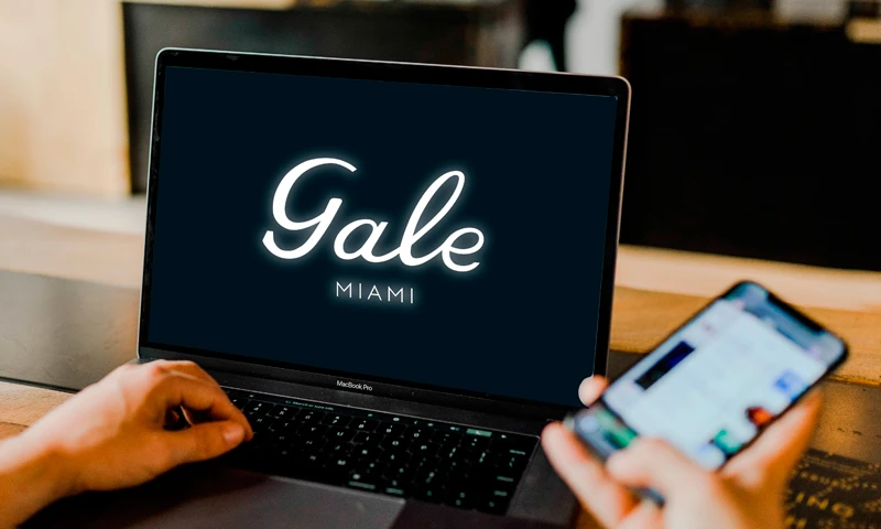 Proyecto Florida img-2