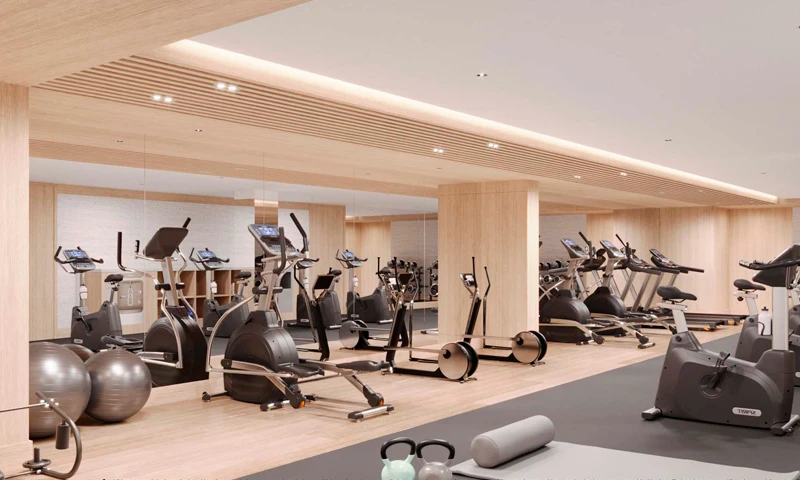 Proyecto Florida img-3