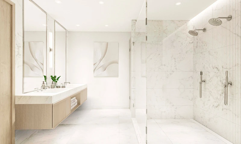 Proyecto Florida img-4