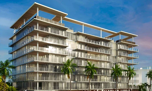 Proyecto Florida img-4