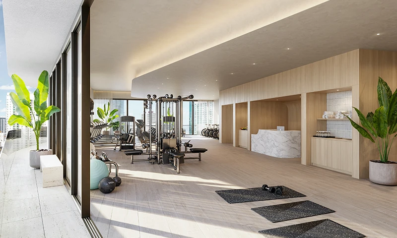 Proyecto Florida img-4