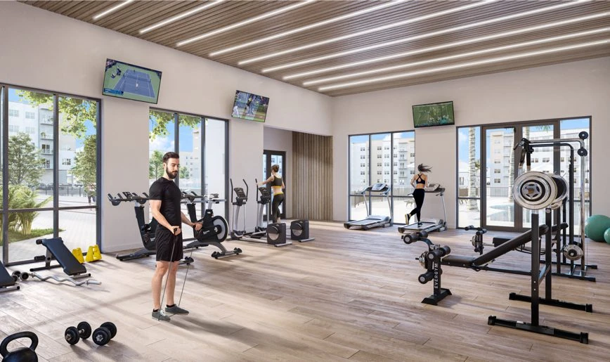 Proyecto Florida img-4