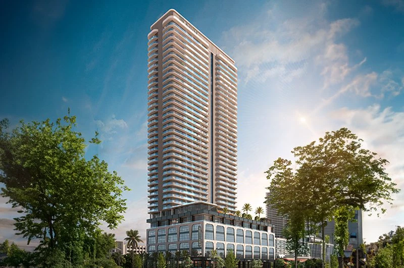 Proyecto Florida img-1