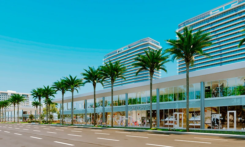 Proyecto Florida img-2