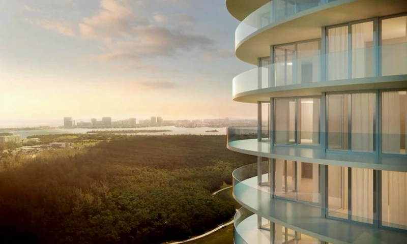 Proyecto Florida img-1