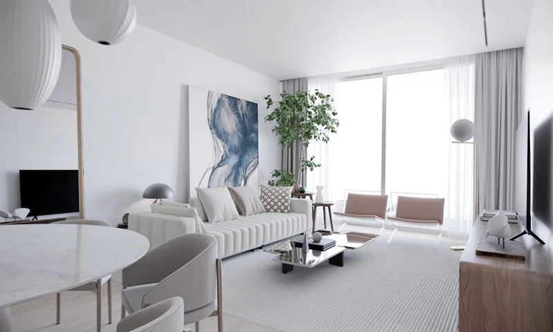 Proyecto Florida img-3