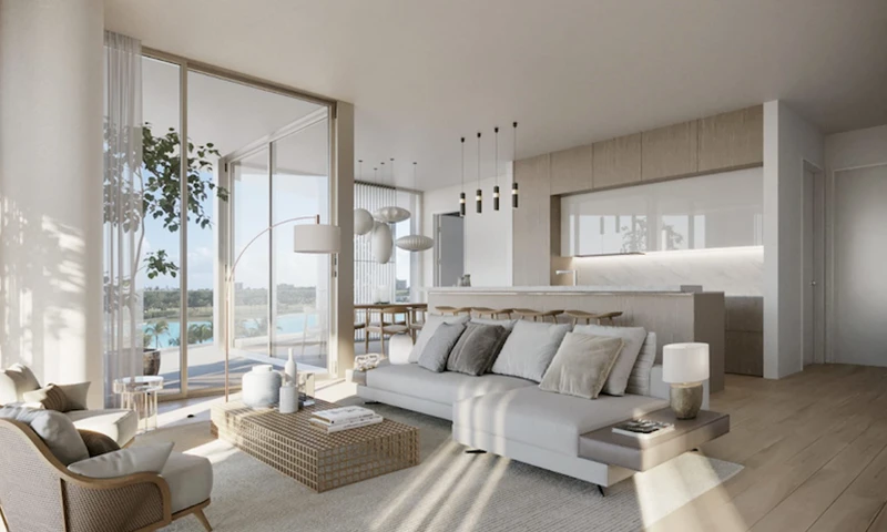 Proyecto Florida img-4