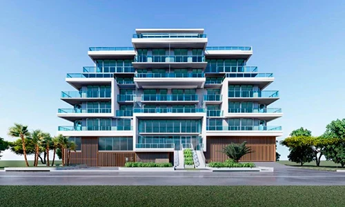 Proyecto Florida img-1