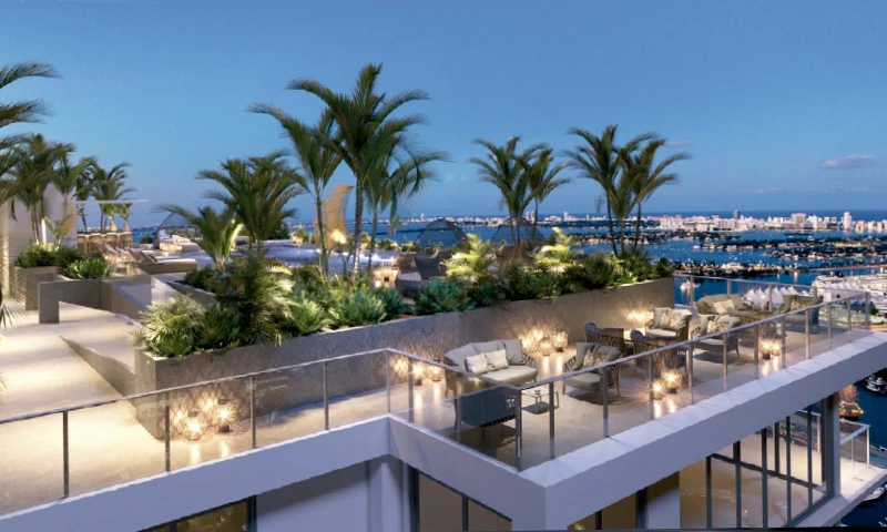 Proyecto Florida img-2