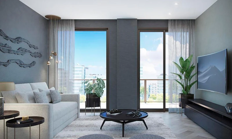 Proyecto Florida img-2