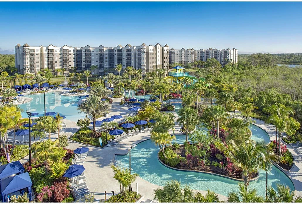 Proyecto Florida img-1