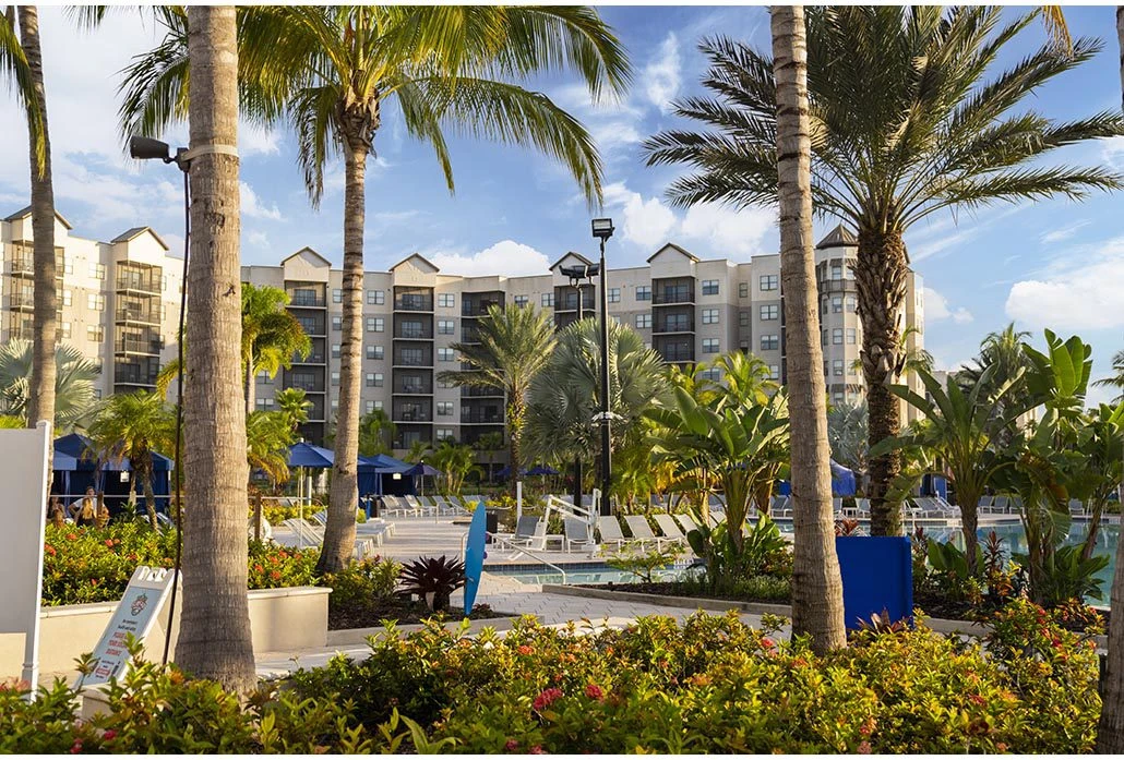 Proyecto Florida img-3