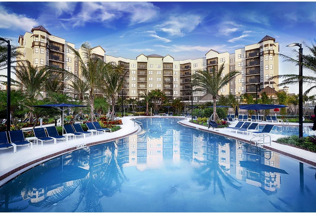 Proyecto Florida img-4