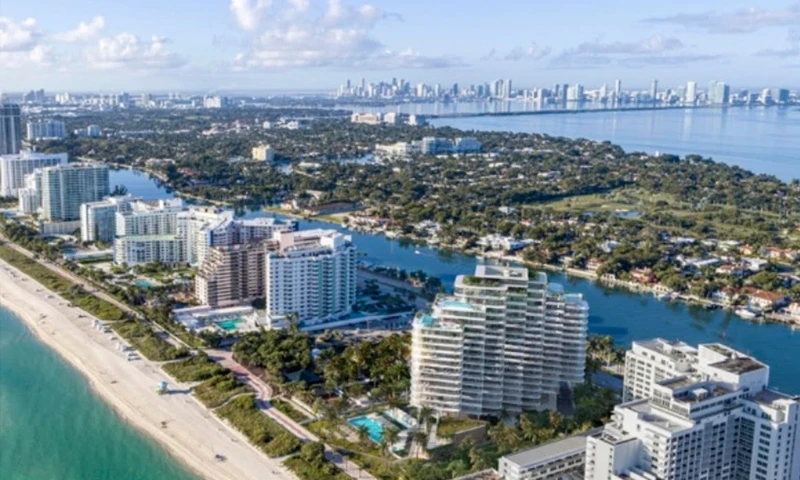 Proyecto Florida img-4