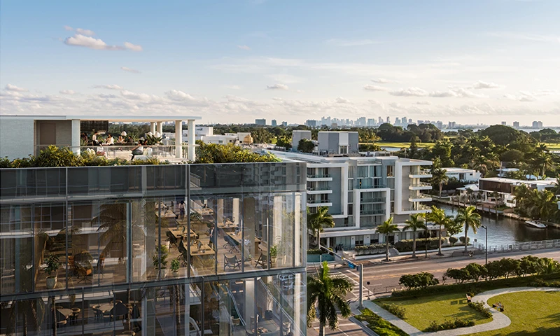 Proyecto Florida img-2