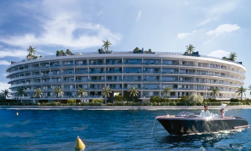 Proyecto Florida img-1