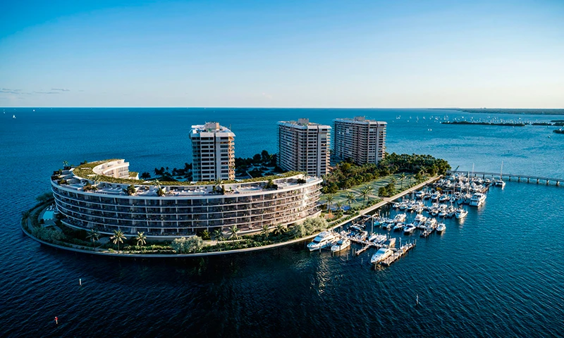 Proyecto Florida img-2