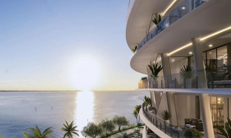 Proyecto Florida img-4