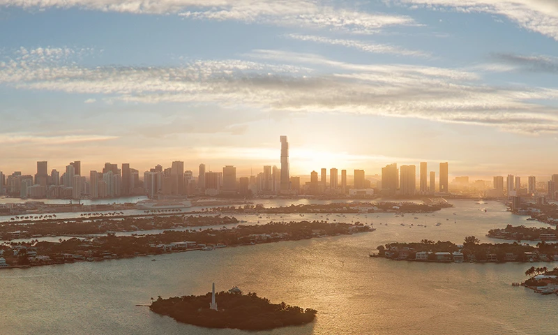 Proyecto Florida img-4